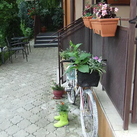 Hotel Pensiunea Caramell Cluj-Napoca